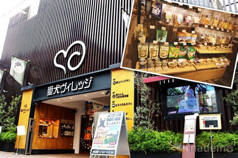 愛犬ヴィレッジ 東新宿店 